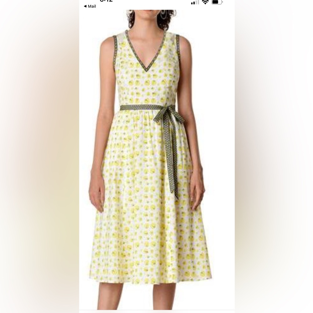 Eshakti Floral Voile Contrast Trapunto Trim Dress NWOT